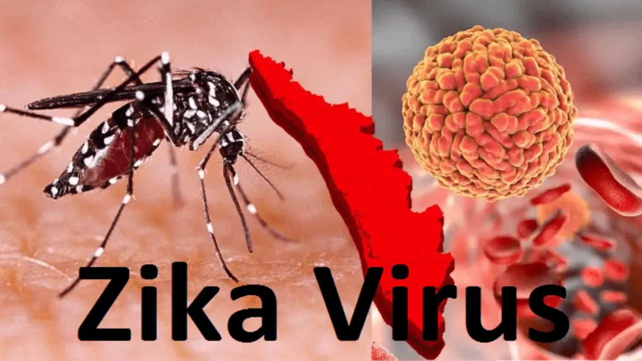 Pune Zika Virus