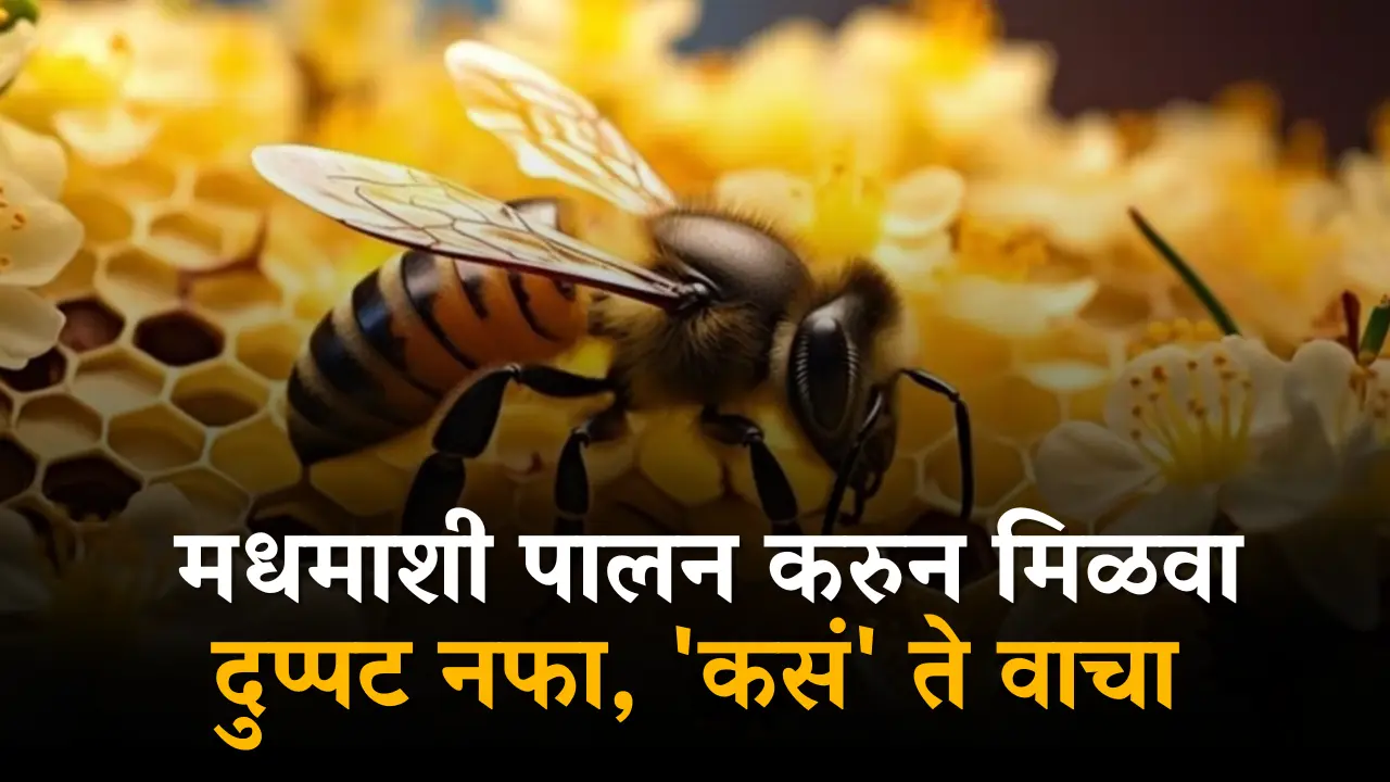 Beekeeping Profitable Farming Honey Mission