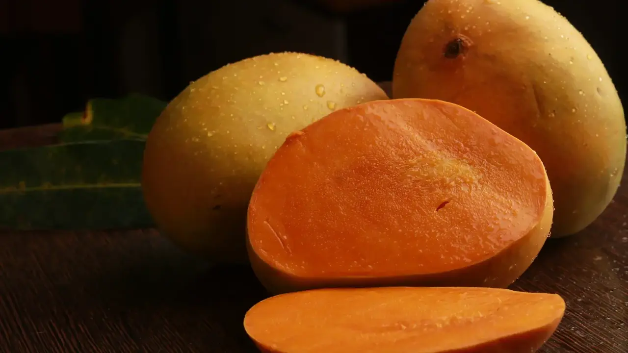 Ratnagiri Alphonso Mango Arrival Delayed  