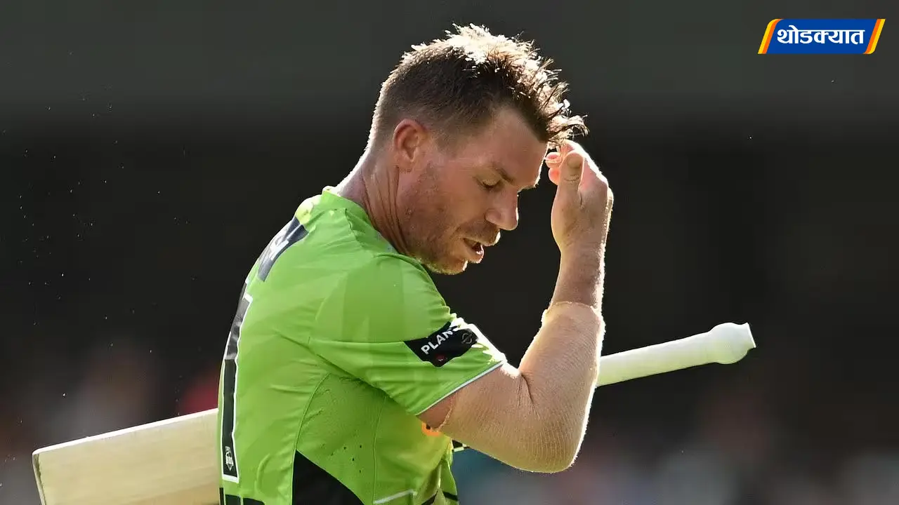 David Warner Arrested