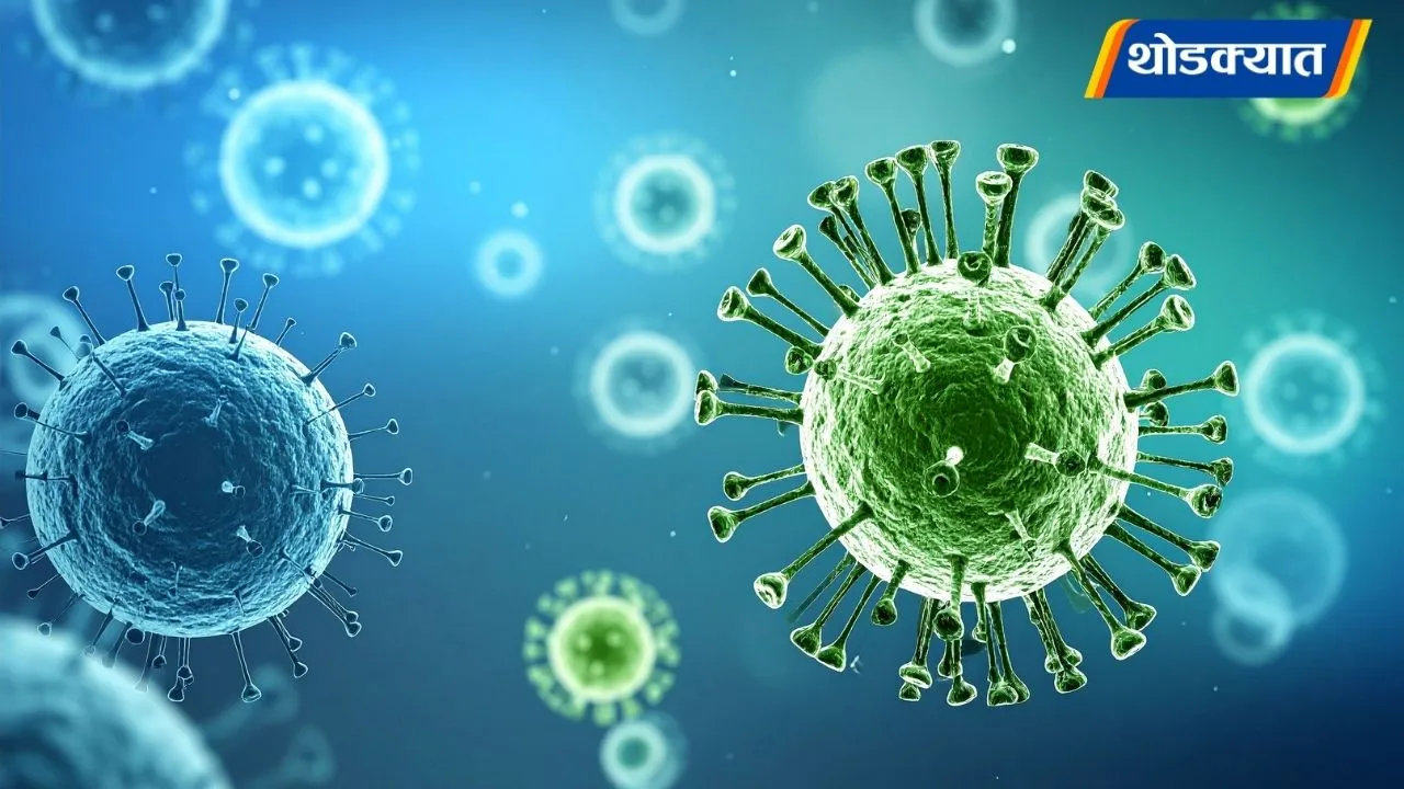 Chandipura Virus